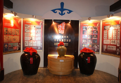 鸿茅药业网络技术服务 数字化转型中的医药品牌新路径