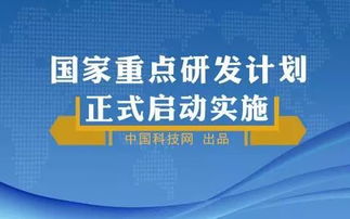 网络技术服务 智能机器人协同制造与智能工厂建设的核心支撑
